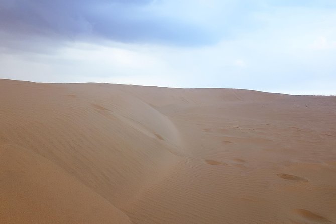4 Days Tour In Doha | City Tour | North Tour | Desert Safari | West Tour - Who should book this four-day Qatar tour?