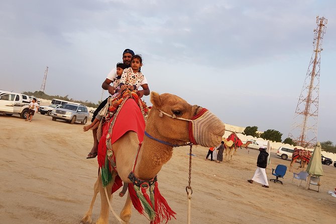 4 Hour Desert Safari, Camel Ride & Inland Sea Beach - Dune bashing across the Qatari desert