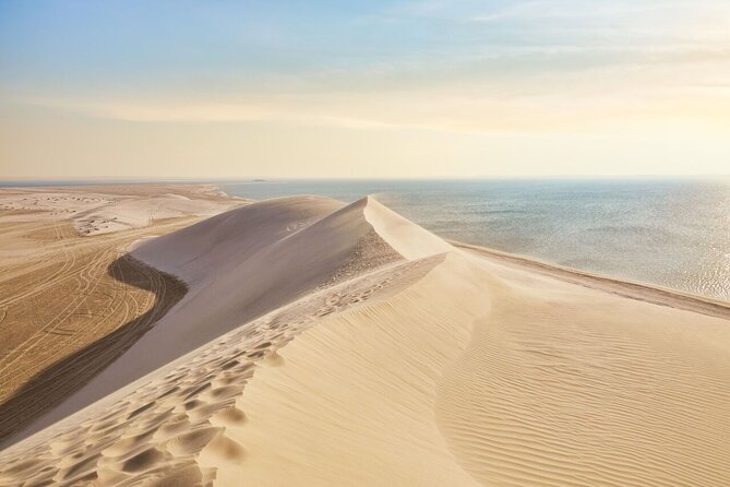 4 Hour Doha Desert Safari Tour - From Doha streets to Sealine Beach