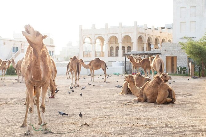 4-Hour Private Group City Tour in Doha, Qatar - Why this short Doha tour works