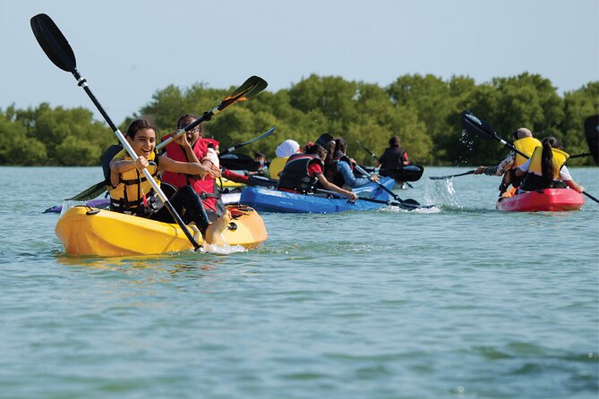 4 Hours Purple Island Mangroves Kayaking Adventure in Qatar - Key points before you book