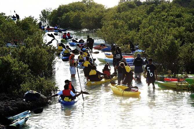 4 Hours Purple Island Mangroves Kayaking Adventure in Qatar - Birdwatching among reeds and shallow water