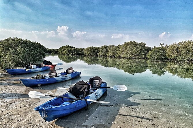 4 Hours Purple Island Mangroves Kayaking Adventure in Qatar - How the private format changes the day
