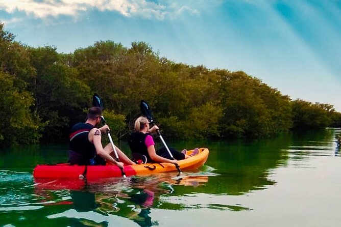 4 Hours Purple Island Mangroves Kayaking Adventure in Qatar - Is $120 per person a fair price?