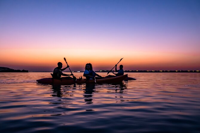 4 Hours Purple Island Mangroves Kayaking Adventure in Qatar - Weather, clothing, and what to bring