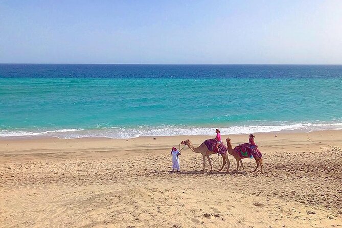 4hr Desert Safari: Sunset,Sunrise,Camel,Sand boarding,Inland Sea - From Doha to Sealine, where the desert ride begins