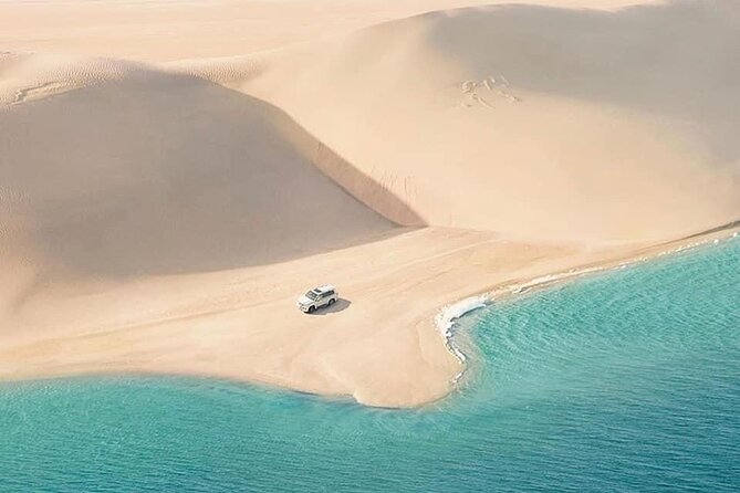 4hr Desert Safari: Sunset,Sunrise,Camel,Sand boarding,Inland Sea - Sandboarding from the highest dunes