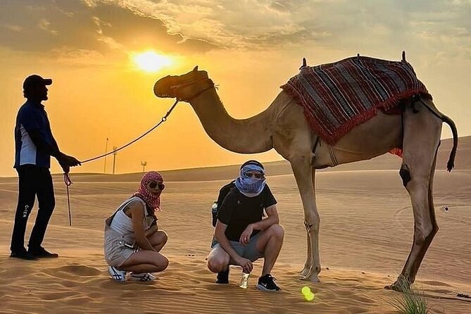Camel Safari in Desert with Pickup and Drop off in Doha - When the camel ride becomes a wider safari