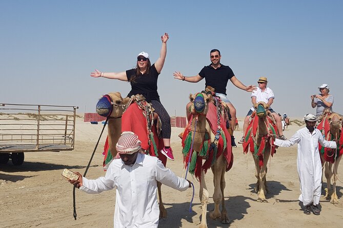 Camel Safari in Desert with Pickup and Drop off in Doha - How the $185 price measures up