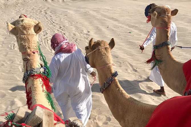Camel trekking on the Dunes with Sunset - Timing, cancellation, and practical planning