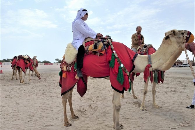 Combo Culture & Adventure: North Qatar Heritage & Desert Safari - Al Khor: fishing boats, the corniche, and Al Bayt Stadium