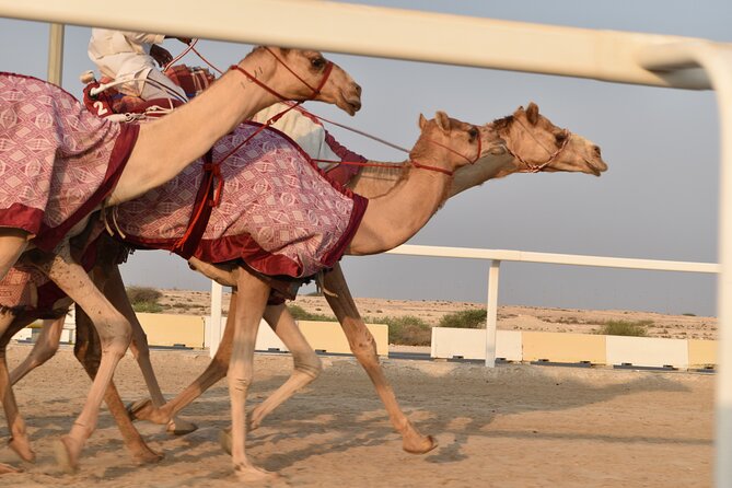 Combo West and North of Qatar Tour - Zekreet Fort Ruins and the umbrella-shaped rock