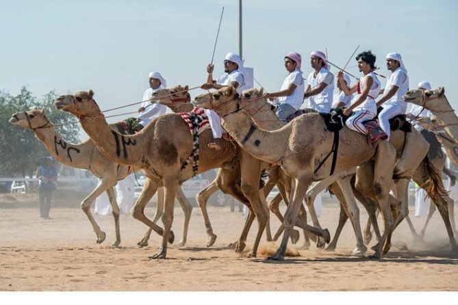 Cultural & Thrills: Sheikh Faisal Museum & Camel Race Adventure - What $119 buys you