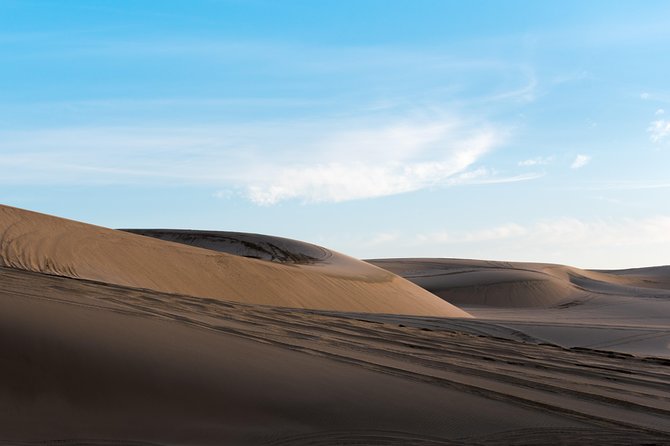 Desert Combo safari, Camel ride, Quad Bike and Dune Bashing(ALL INCLUSIVE) - Quad biking for 30 to 40 minutes