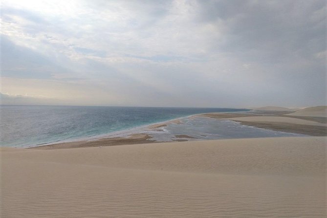 Desert Combo safari, Camel ride, Quad Bike and Dune Bashing(ALL INCLUSIVE) - The camel ride: short, traditional, and photo-friendly