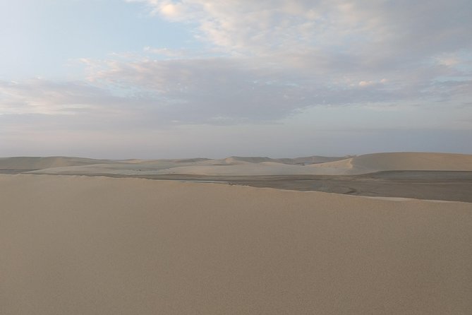 Desert Combo safari, Camel ride, Quad Bike and Dune Bashing(ALL INCLUSIVE) - Sealine Beach and the shift from coast to sand