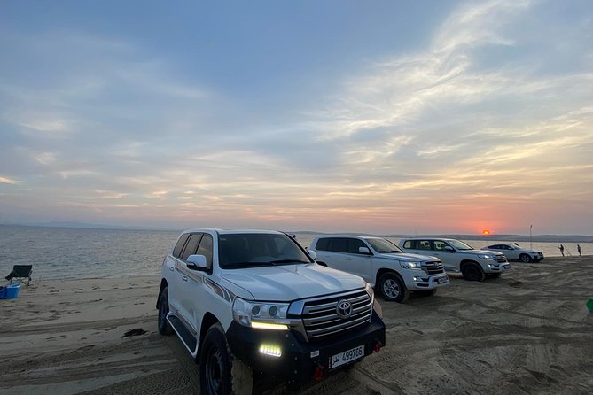 Desert Safari 7 Hours Tour with Dinner and Camp - Optional Camel Riding, Quad Biking, and Sand Boarding