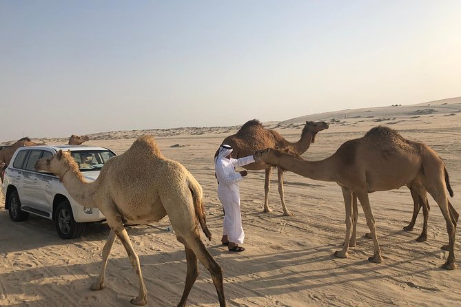 Desert Safari 7 Hours Tour with Dinner and Camp - How Good Is the $270 Value?