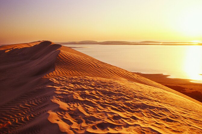 Desert Safari and Inland Sea(Private Tour) - From Doha to Mesaieed, the desert begins quickly