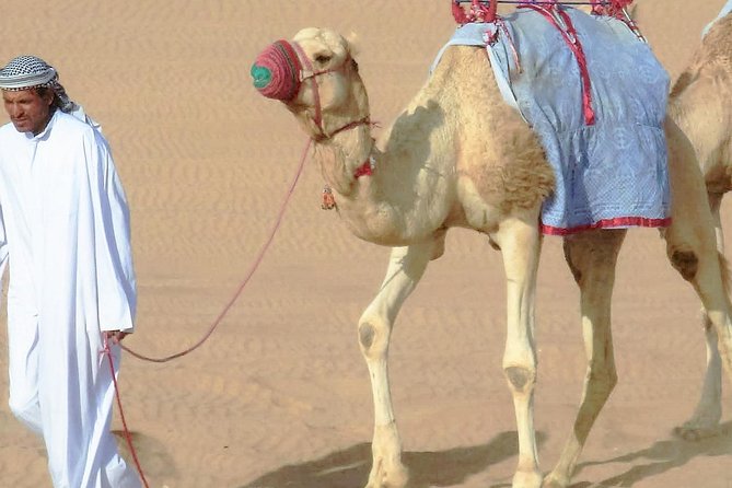 Desert safari, Dune bashing, sandboarding, camel, ATV Option - Leaving Doha in an air-conditioned 4WD