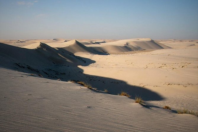 Desert safari, Dune bashing, sandboarding, camel, ATV Option - Sandboarding for a quick, low-tech thrill