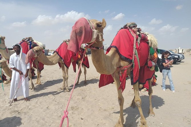 Desert safari, Dune bashing, sandboarding, camel, ATV Option - Adding the optional ATV ride