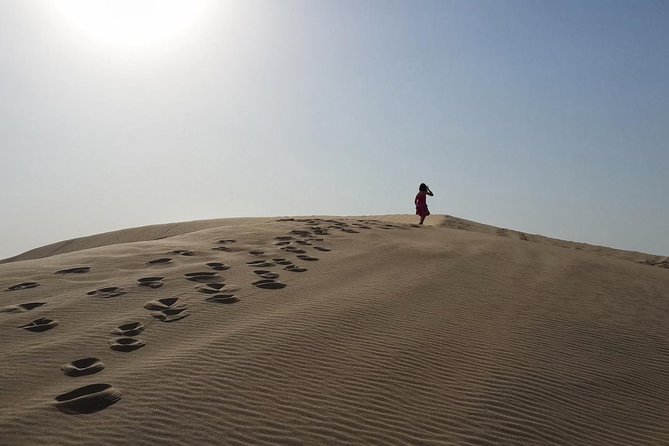 Desert safari, Dune bashing, sandboarding, camel, ATV Option - How the four-and-a-half-hour schedule works