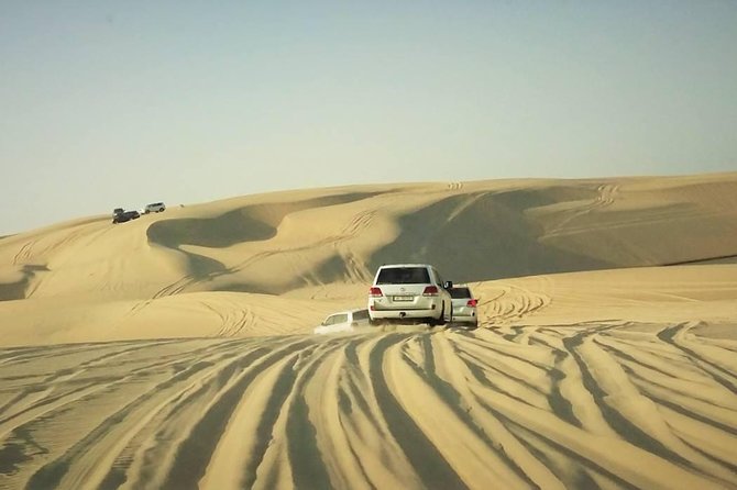 Desert safari, Dune bashing, sandboarding, camel, ATV Option - Is $46.55 good value?