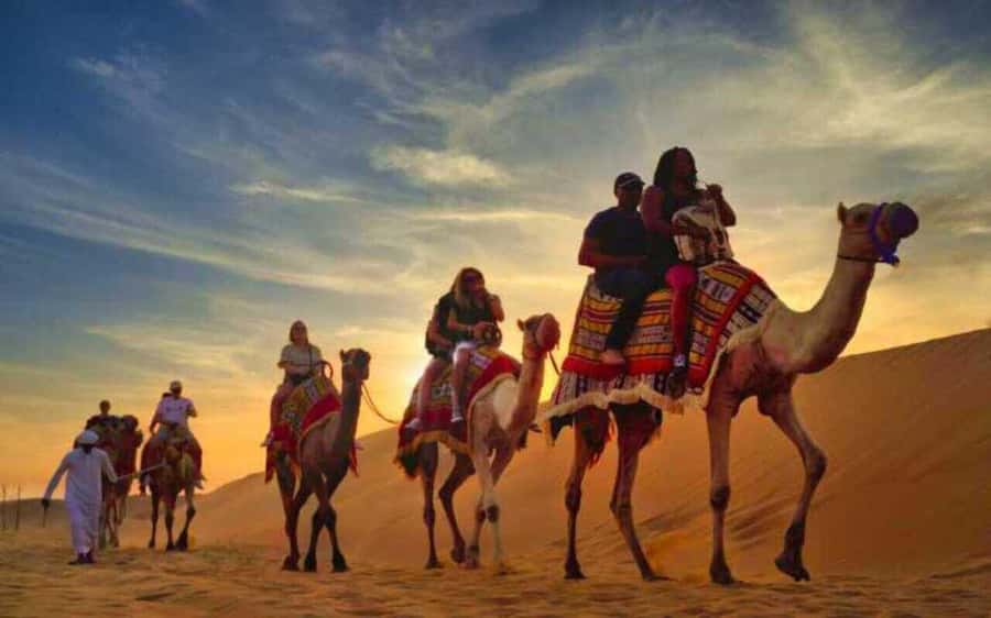 Desert Safari, Dunes Ride, Sand Boarding & Inland Sea Tour - From Doha to the open sand