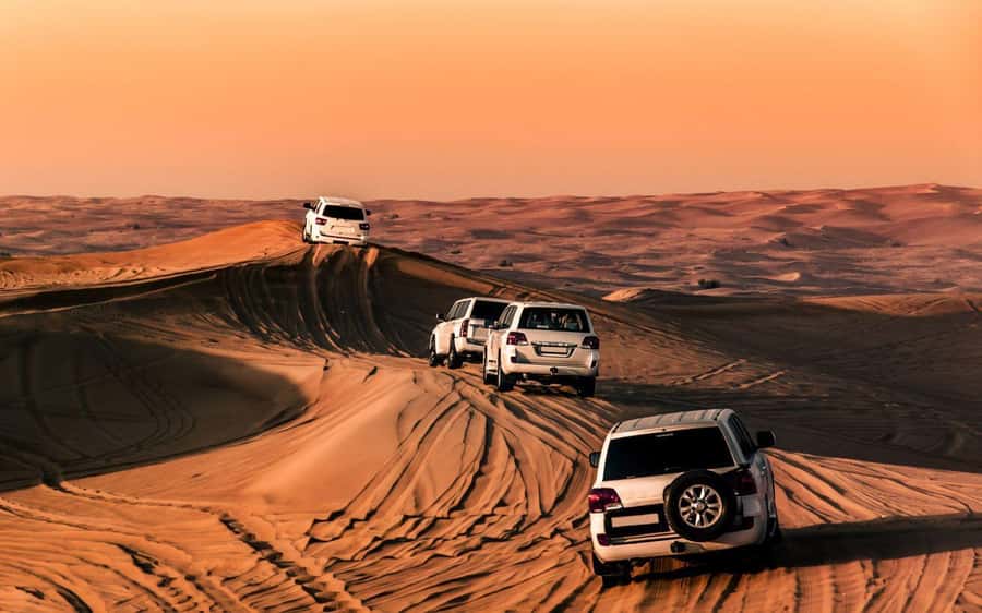 Desert Safari, Dunes Ride, Sand Boarding & Inland Sea Tour - Sandboarding from the viewpoint