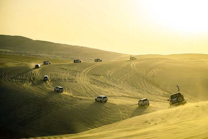 Desert safari Inland Sea Private Tour - Who should book this private safari?