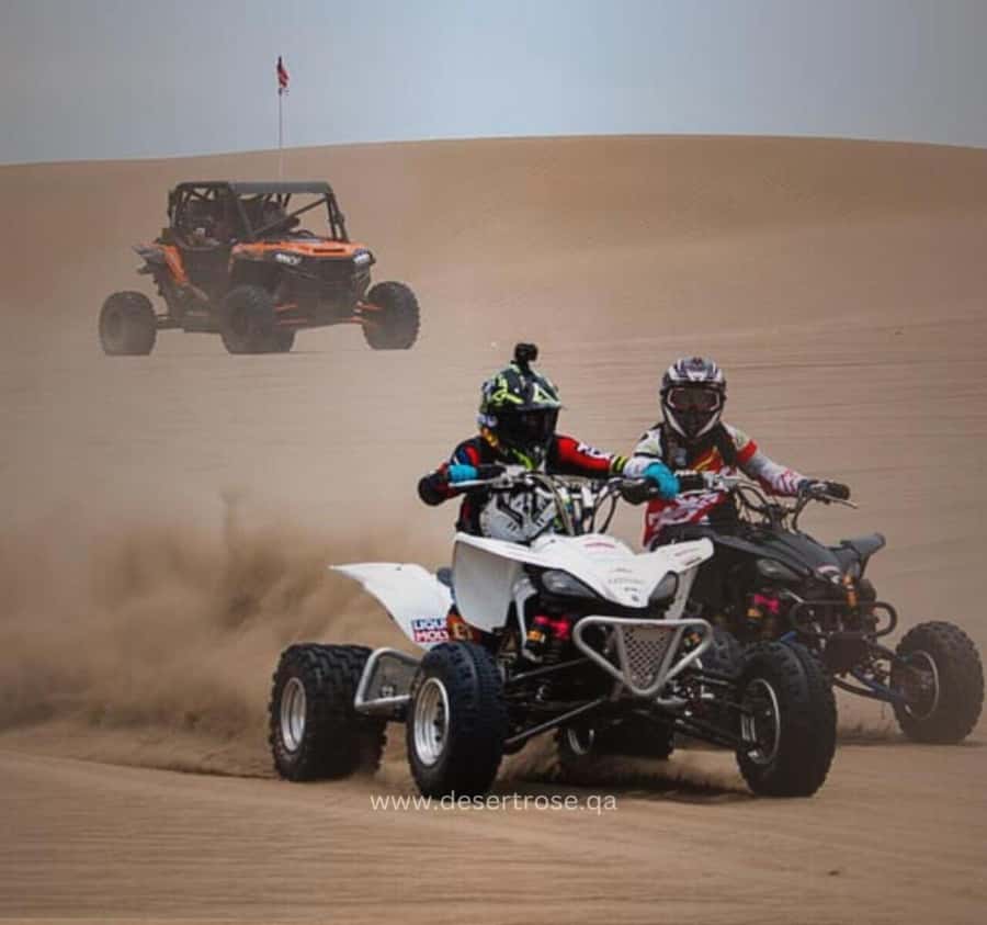 Desert Safari, Quad Bike, Camel Ride, Falcon & Sandboarding - Why this Qatar desert tour works so well