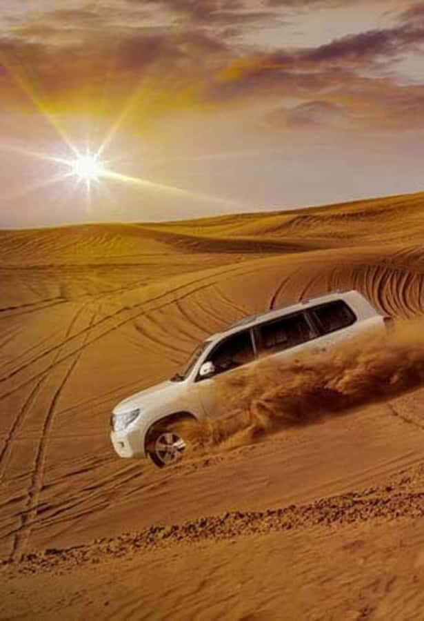 Desert Safari, Quad Bike, Camel Ride, Falcon & Sandboarding - Practical tips for a smoother outing