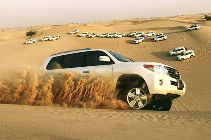 Desert Safari, Quad Bike, Camel Ride, Falcon & Sandboarding - Leaving Doha for Mesaieed