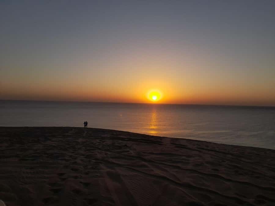 Desert Safari, Quad Bike, Camel Ride, Falcon & Sandboarding - Sandboarding from a high dune