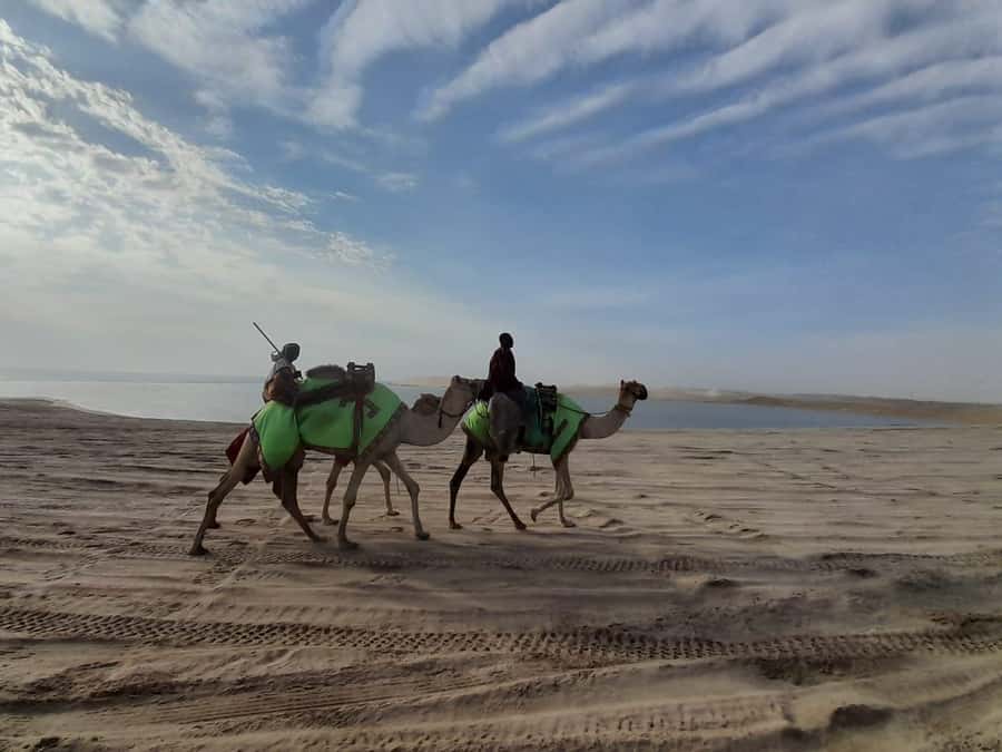 Desert Safari, Quad Bike, Camel Ride, Falcon & Sandboarding - The Inland Sea, Qatar’s most memorable stop