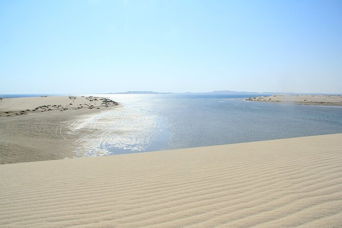 Desert Safari, Quad Bike, Sandboarding and Camel Ride - Khor Al Udaid and the Inland Sea