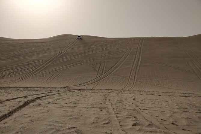 Desert Safari, Quad Bike, Sandboarding and Camel Ride - What the guide adds to the day