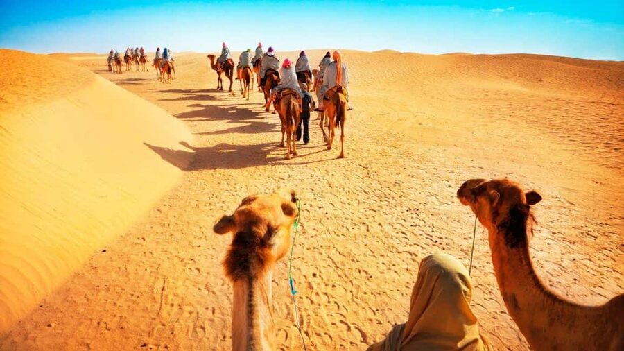 Desert Safari, QuadBike,Dune buggy, Sandboarding & CamelRide - From Doha to the first dunes