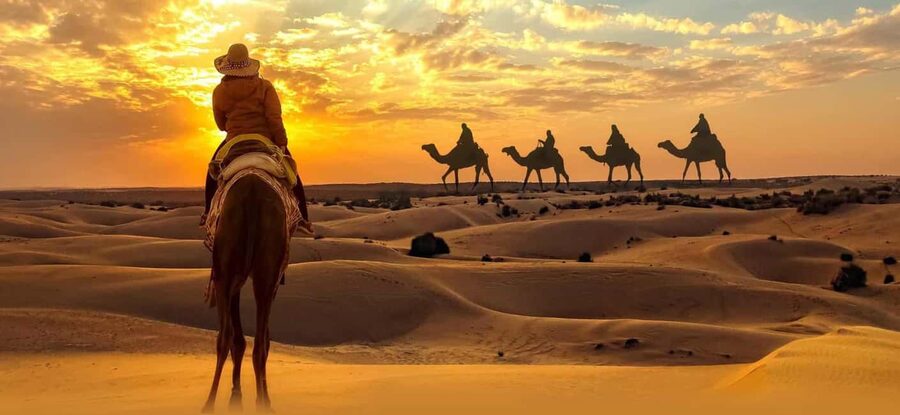 Desert Safari, QuadBike,Dune buggy, Sandboarding & CamelRide - What $52 covers, and where value depends on your priorities