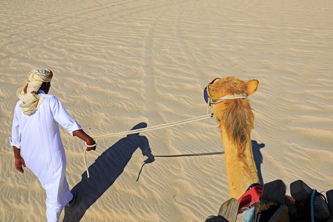 Desert Safari with Camel Ride, Sand Boarding & Inland Sea Tour in Doha - Sunset timing can shape the whole afternoon