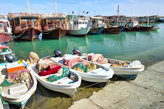 Discover Qatar’s Hidden Gems: North & West Coast Private Tour - Is $130 a Fair Price?