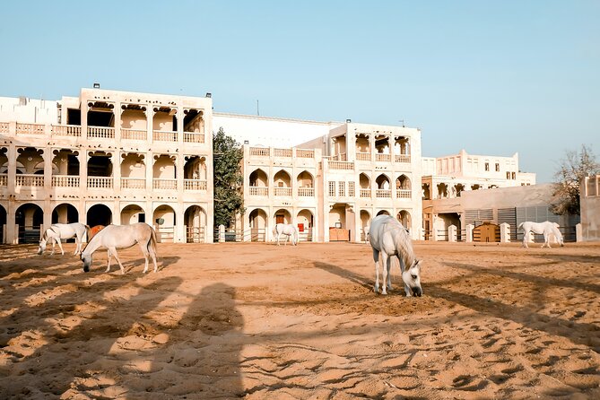Discovering Doha Qatar | Guided City Tour | Half Day - West Bay puts Doha’s modern face on display