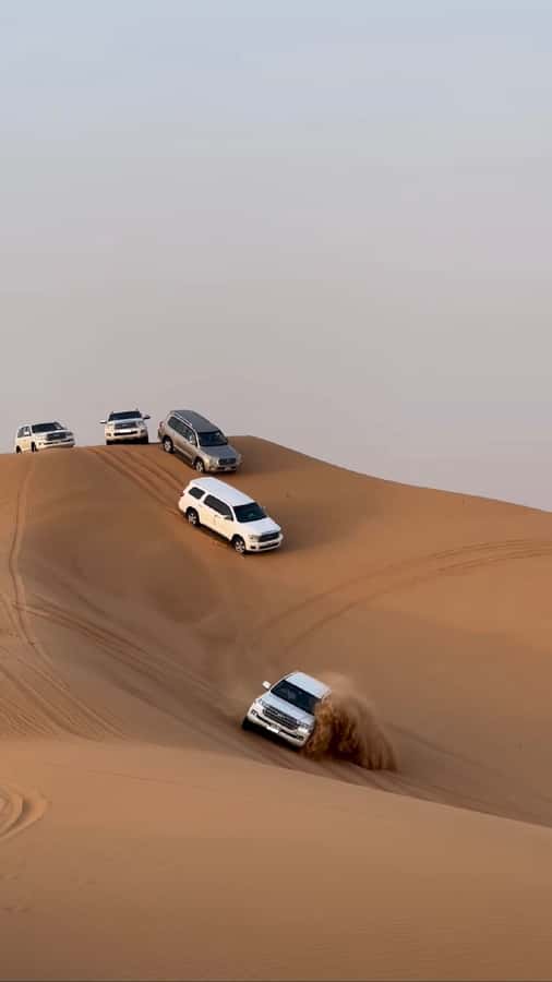 Doha Activities: Desert Safari, Dune Bashing & Inland Sea - The camel stop, tradition with a small extra charge