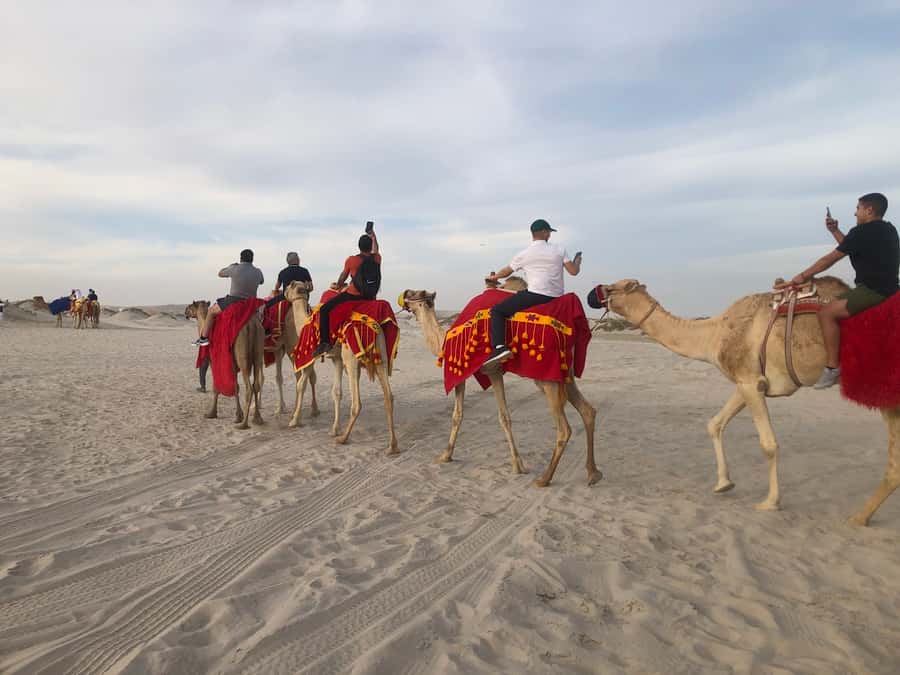 Doha Activities: Desert Safari, Dune Bashing & Inland Sea - Group size, comfort, and the right kind of participant