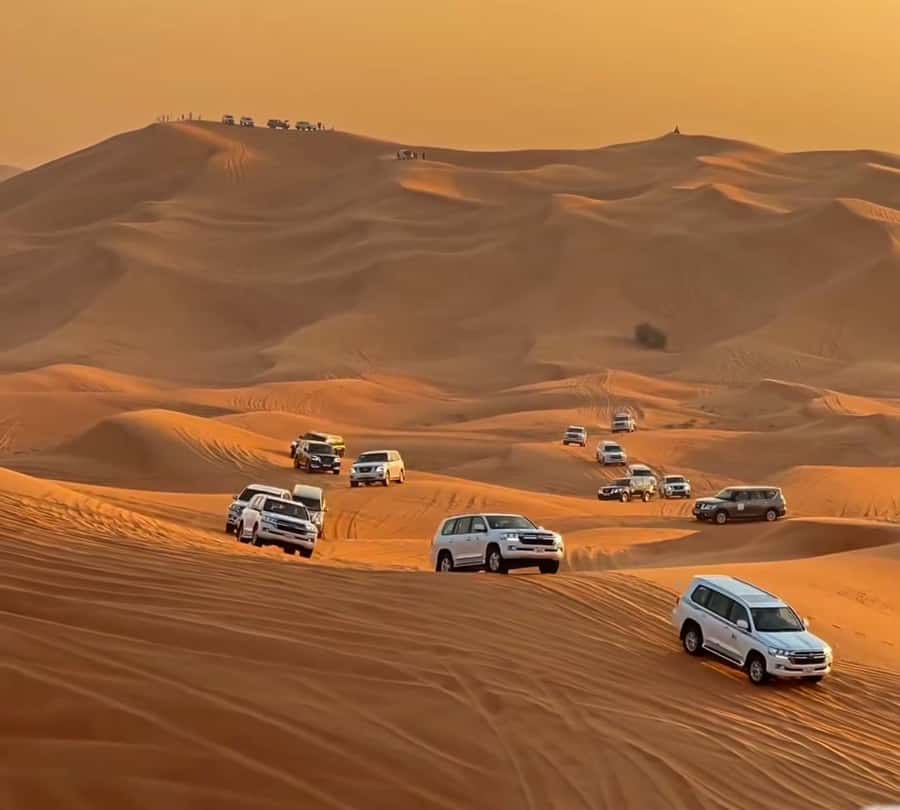 Doha : Arabian Horse Ride Experience With Pickup & Drop Off - Practical details that make the day easier