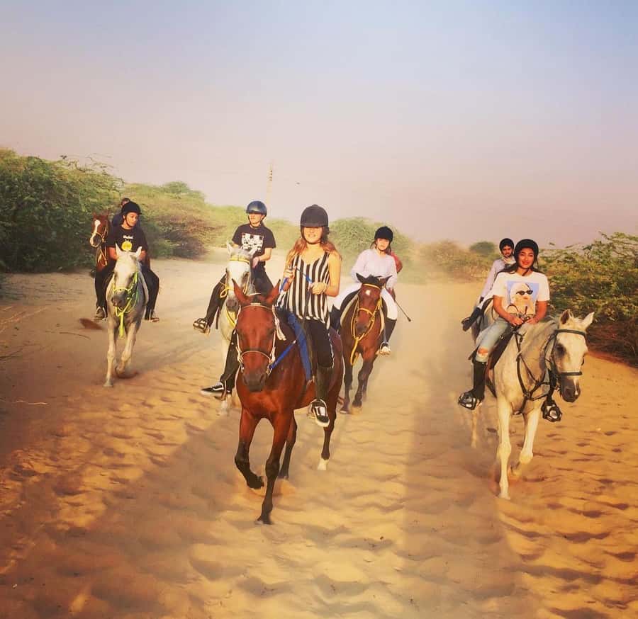 Doha : Arabian Horse Ride Experience With Pickup & Drop Off - Leaving Doha for Al Wakrah Municipality
