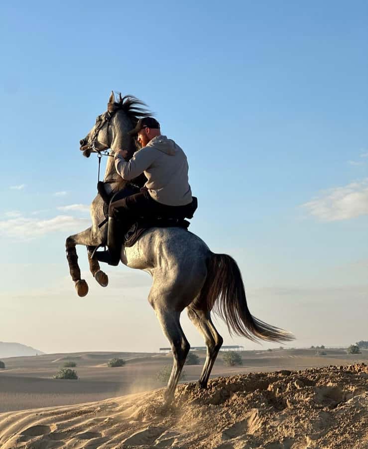 Doha : Arabian Horse Ride Experience With Pickup & Drop Off - What the private-group format changes