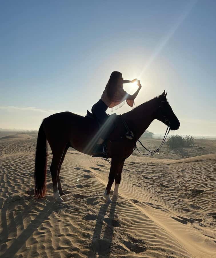 Doha : Arabian Horse Ride Experience With Pickup & Drop Off - Is $97 a fair price?
