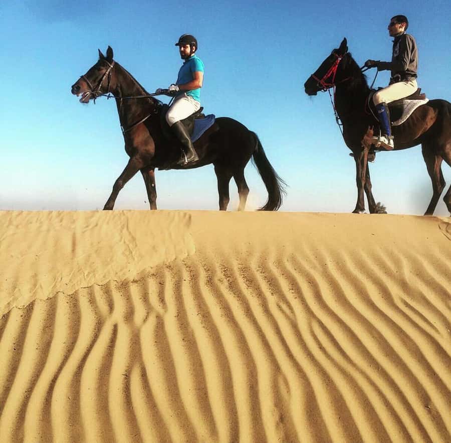Doha : Arabian Horse Ride Experience With Pickup & Drop Off - Meeting your horse and getting ready